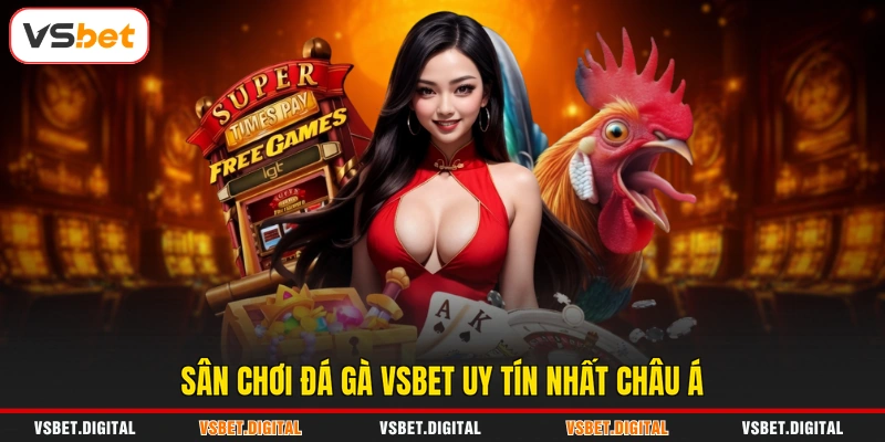 Sân chơi đá gà VSBET uy tín nhất châu Á