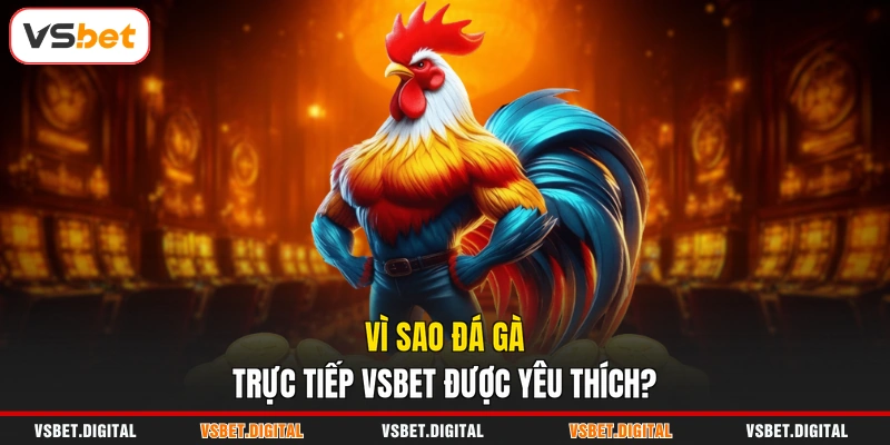 Vì sao đá gà trực tiếp VSBET được yêu thích?