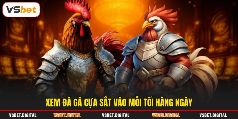 Xem đá gà cựa sắt vào mỗi tối hàng ngày
